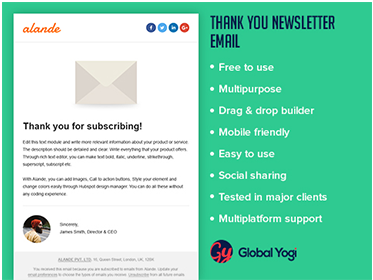 Thank You newsletter Email