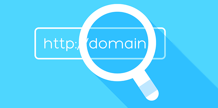 Check Domain Name Availability