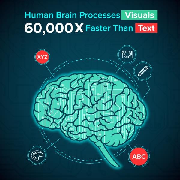 Human Brain Processes