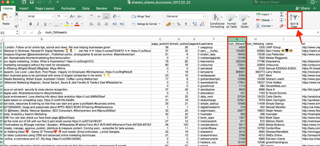 Sharers Shares Excelsheet