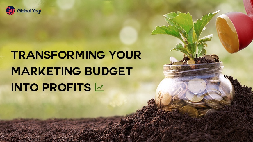 How to Transform Your Marketing Budget into Profits